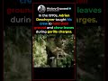 When a Man Outsmarted a Charging Gorilla 🦍🎥