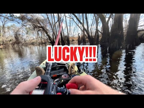 Fishing on the Satilla River again! ( GOT INSANELY LUCKY WATCH TILL END)