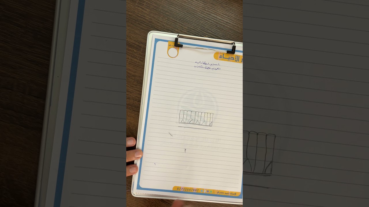 النسيج الظهاري المطبق الكاذب