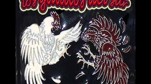 LOS GALLITOS DEL SUR  - JUANITA GONZALEZ