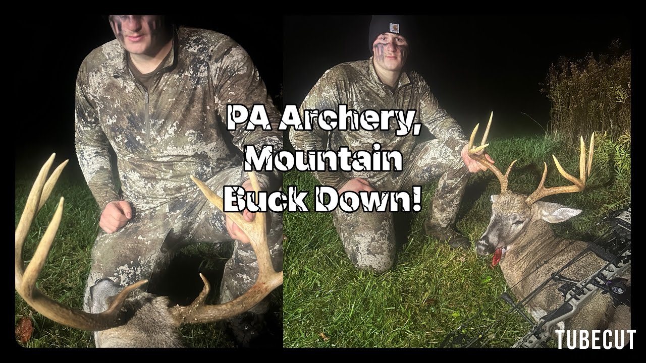 Pennsylvania archery, BIG mountain buck down out of the saddle.