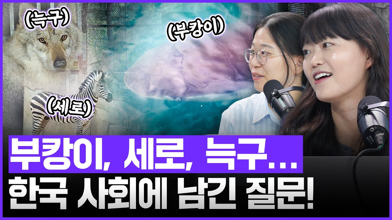 대통령은 왜 부캉이를 보러 갔을까? "예쁘다 건강하래이~” 시사IN 사진기자의 취재 썰! 늑구, 구조 당시 OO에 있었다?｜[김은지의 뉴스IN] 261013 방송 #시사인