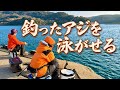 早速ウキに反応が❗️釣りプロ旦那が釣ったアジを嫁ッピがブッ込んで大物を狙います‼️