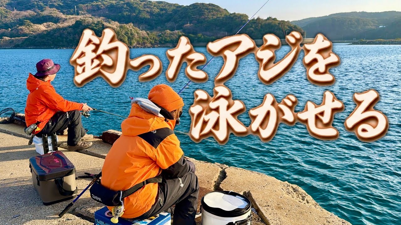早速ウキに反応が❗️釣りプロ旦那が釣ったアジを嫁ッピがブッ込んで大物を狙います‼️