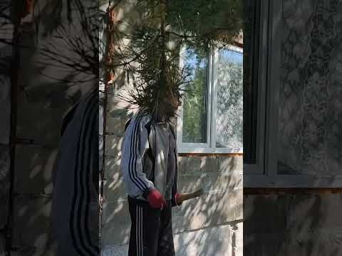 Цоколь по красоте
