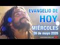 Evangelio de HOY. Miércoles 20 de mayo 2026 Jn. 17,11-19 "Padre santo, guárdalos en tu nombre". Mp3 Song