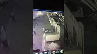 I ladri di piante presso Las Brisolas
