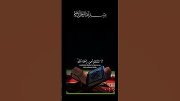 القرآن الكريم _أجر لي ولكم _أرح سمعك #وقلبك _أكتب شيء تؤجر عليه #🤍🌿🌹🦋