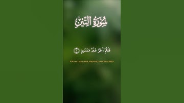 سورة التين (٤-٨) - طلحة علوي | #القرآن_الكريم #سورة_التين #طلحة_علوي #تلاوه #تلاوة_خاشعة