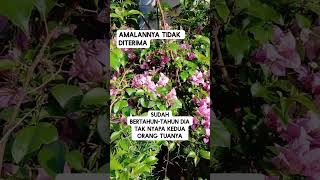 Amalan tidak diterima #shorts #religi #videoislami