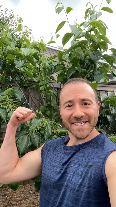 is-this-the-easiest-fruit-tree-to-grow-youtube