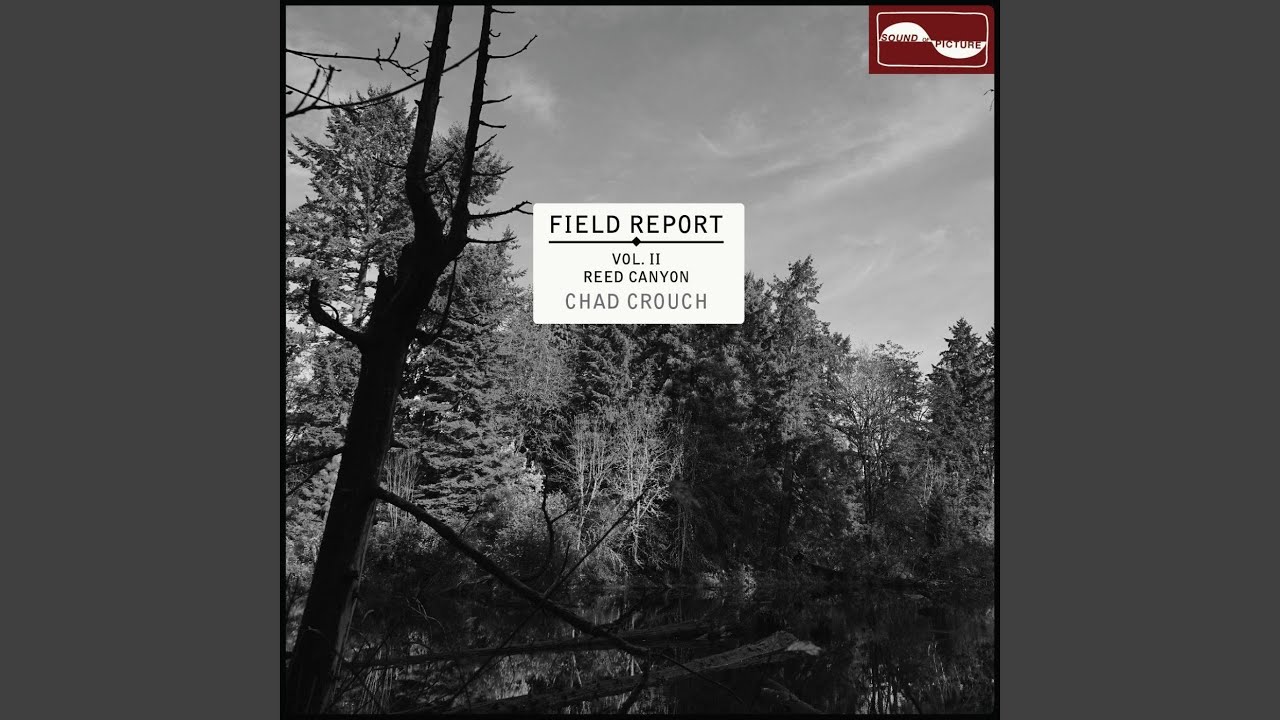 Song Sparrow Serenade