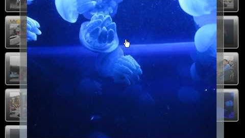 Silverlight Gallery 2