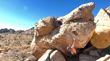 Joshua Tree - Igneous Ambiance