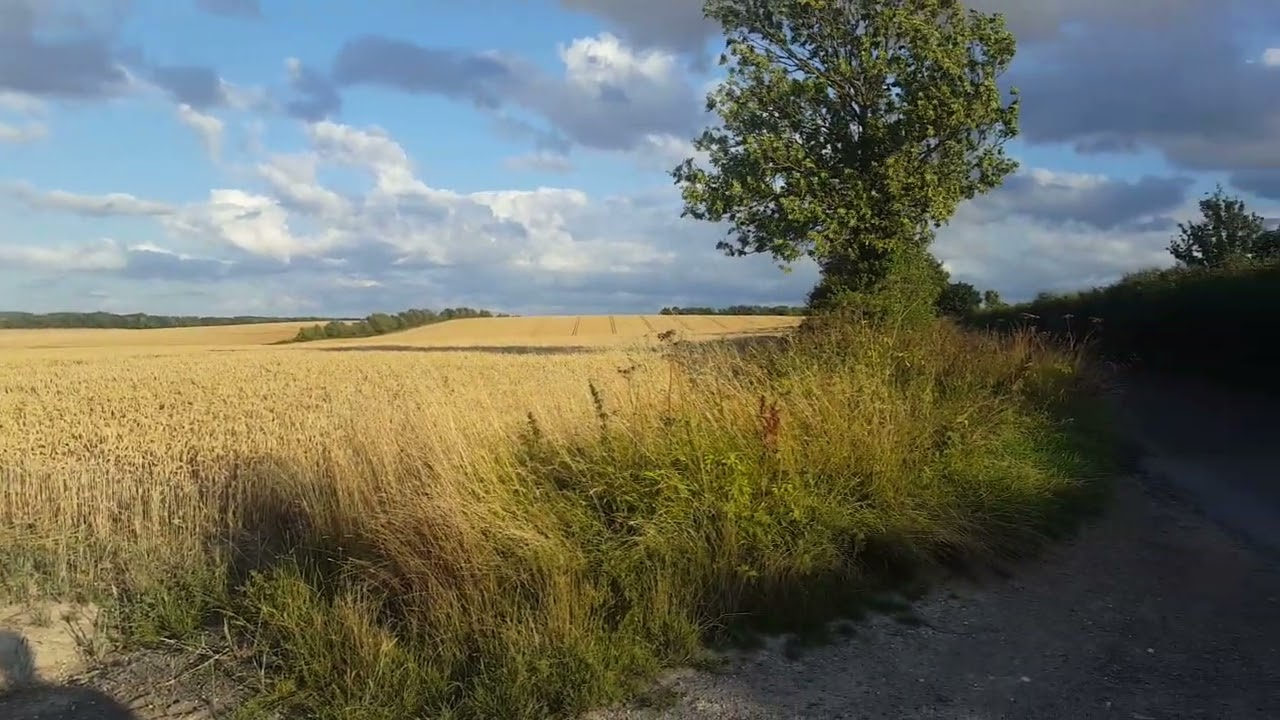 Ashwell Village From Above.