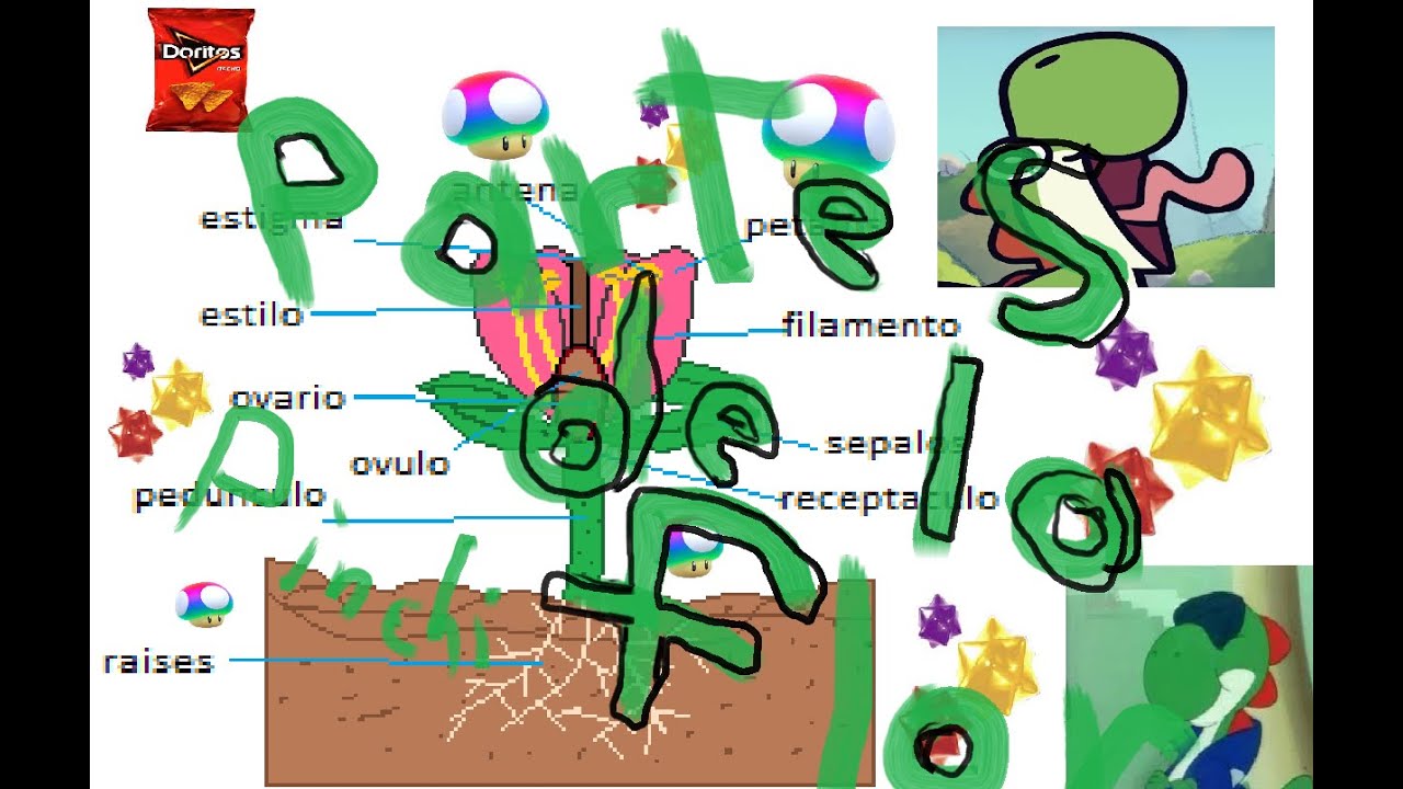 las partes de la flor por su maestro yoshi giño