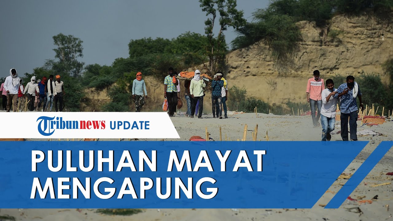 Terungkap Puluhan Mayat Mengapung Di Sungai Uttar Pradesh India Ternyata Korban Covid 19 Youtube