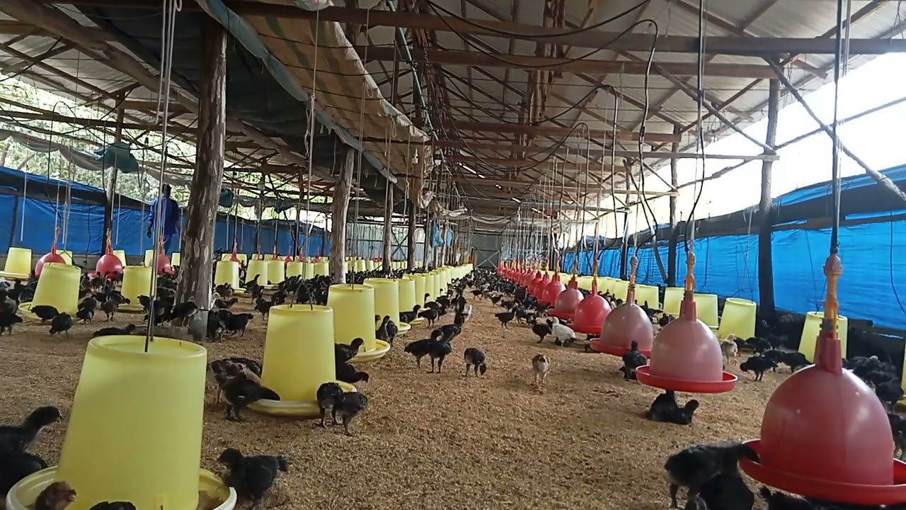 23 កុម្ភៈ 2026