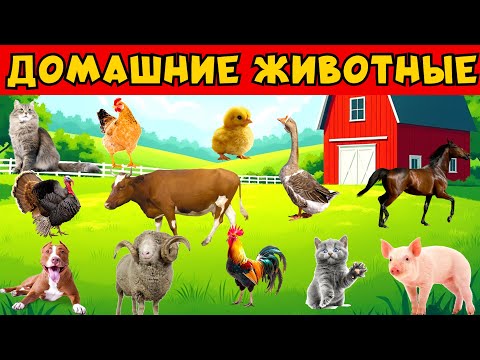 Домашиние животные и их звуки для детей. Сборник, обучающее видео