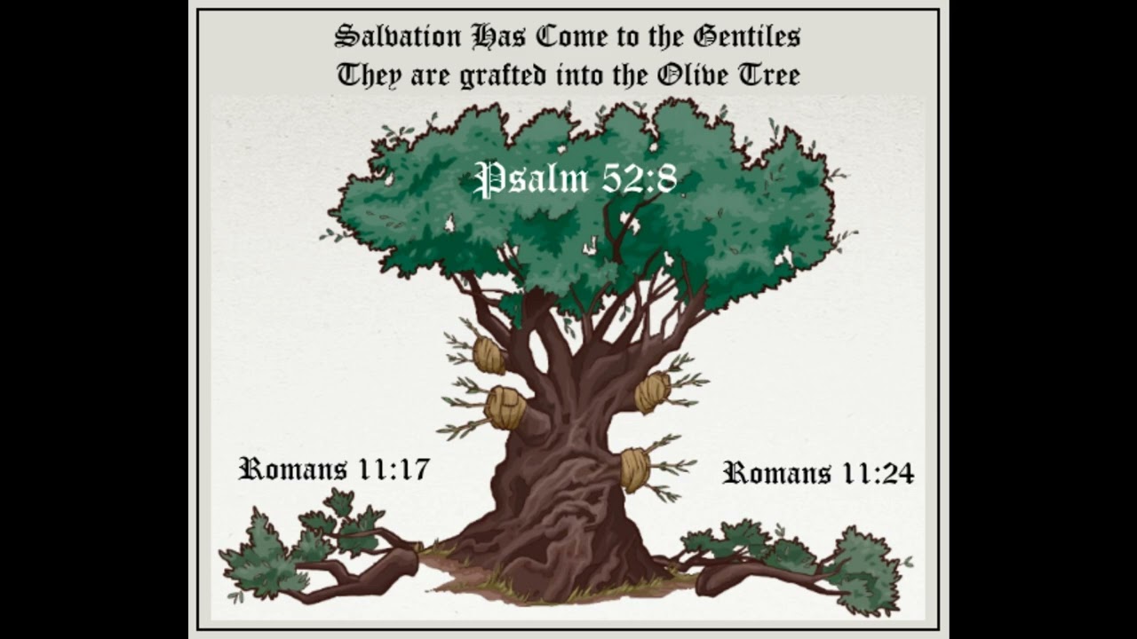 I'm a Jew, I'm Gentile (Christian Song)