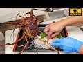 【捌き＆盛り付け方】毎日１００匹の伊勢えびを捌く大人気海鮮レストランの料理人が伝授！イセエビの捌き方と盛り付け方