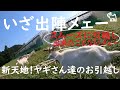 時間(とき)は満ちたメェー!いざ出陣メェ🐐ーヤギ除草部隊の引っ越し珍道中動画 前半戦 またアクシデント!?(私一人で誘導できるとかにゃ!?)