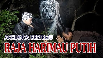 Akhirnya Bisa Bertemu Dengan Raja Harimau Putih | Petualang Gaib