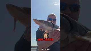 This Fish Is As Old As The Dinosaurs