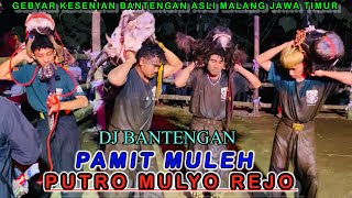 Download lagu DJ Bantengan PAMIT MULIH Bersama Bantengan PUTRO MULYO REJO❗️