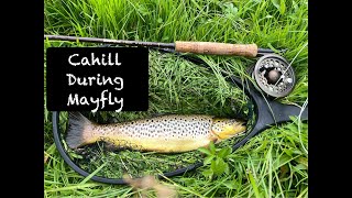 How to Tie Light Wet Flies for Mayfly Season