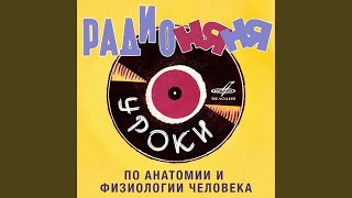 Орган слуха - Release - Topic