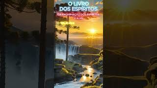 O Livro Dos Espíritos - Da Encarnação Dos Espíritos - A Alma - Perguntas 134, 134.A E 134.B