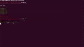 Automated Pentest Script