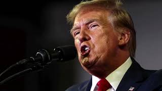 Trump scorned for comment on attacking NATO allies | REUTERS