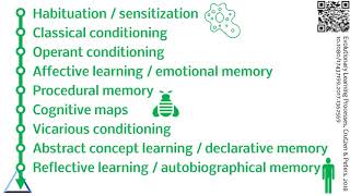 [EUSPR2019] Workshop "Optimizing behavior change techniques effectiveness", part 2 Wealth