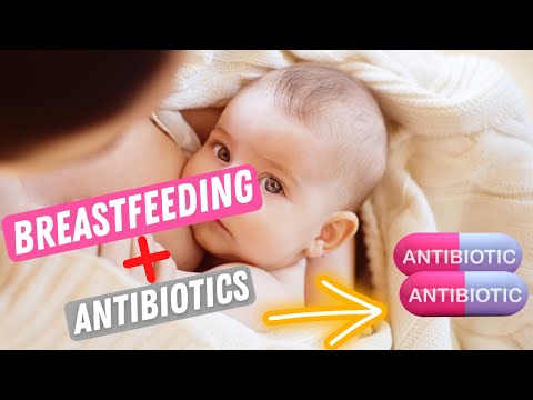 Video: Snižují antibiotika produkci mléka?