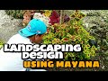 DIY:Easy landscaping design using mayana/coleus plant @Bai J Vlog