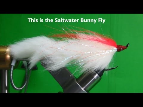 bunny fly strike bunny fly strike