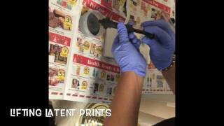 LIFTING Latent PRINTS CSI