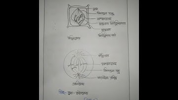 assignment class 8 2022. (science assignment) 5th week*2022💜