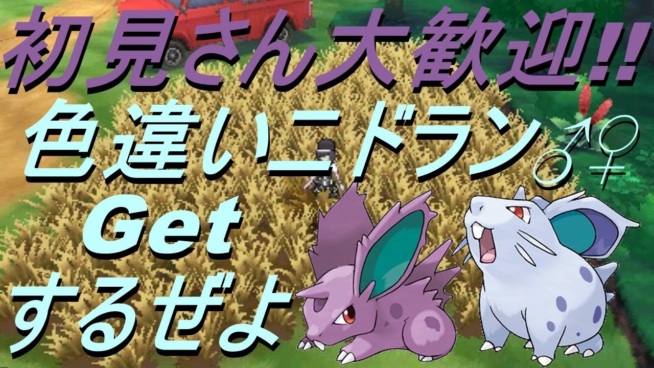 ポケットモンスター 色違いニドラン Getするぜよ サン ムーン Live Part 1 Youtube ポケットモンスター 色違いニドラン Getするぜよ サン ムーン Live Part 1 Youtube