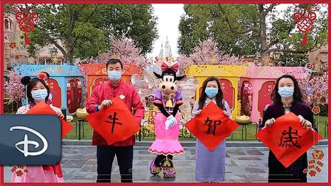 Lunar New Year Greetings | Shanghai Disney Resort - DayDayNews