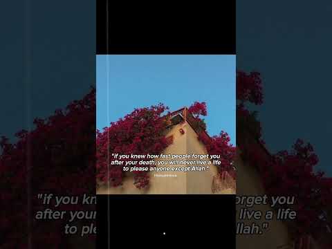 That Is The Reality Batmana Ansak Arabic Song Sherine Songs Reminder Unfrezzmyaccount 