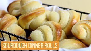 The Best Homemade Sourdough Dinner Rolls!! How to Make 2 Styles of Homemade Dinner Rolls