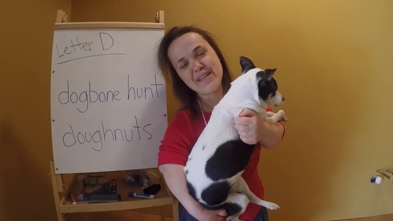 Letter D For Dog Bone Hunt Teaching Preschoolers The Alphabet Letter D For Dog Bone Hunt