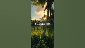 سورة الشعراء: القارئ الدوكالي محمد العالم