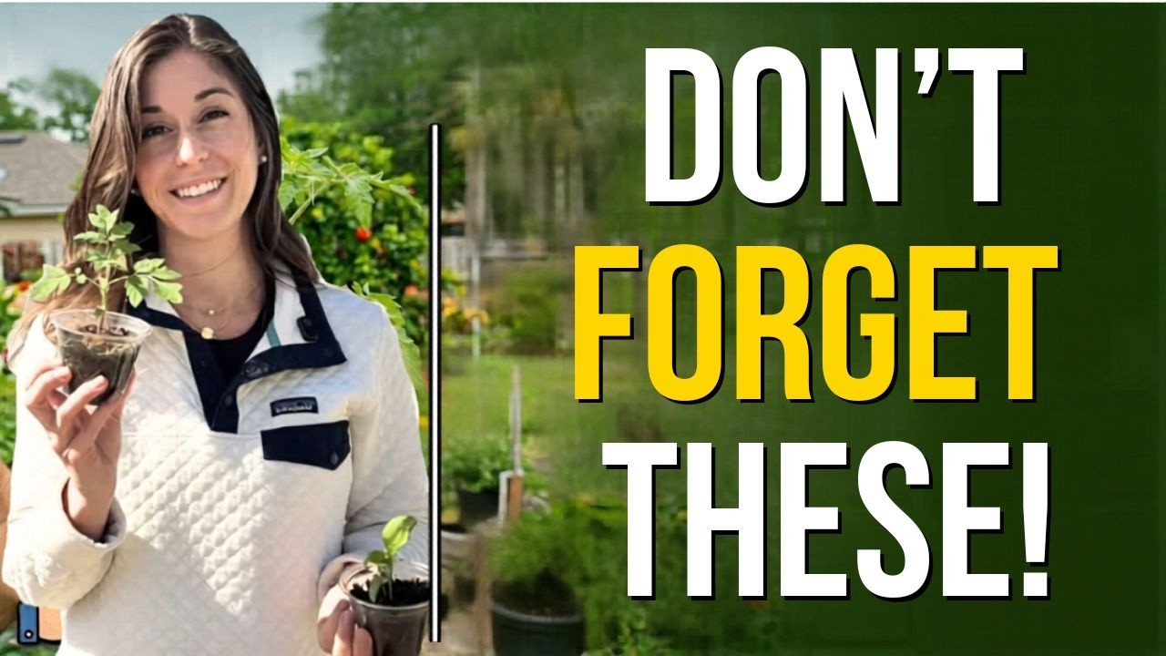 What to Plant in March: The North Florida "Fake Spring" Survival Guide ...