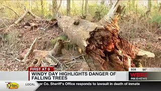 Windy day highlights danger of falling trees