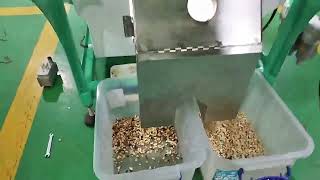 Cashew Nut Color Sorter