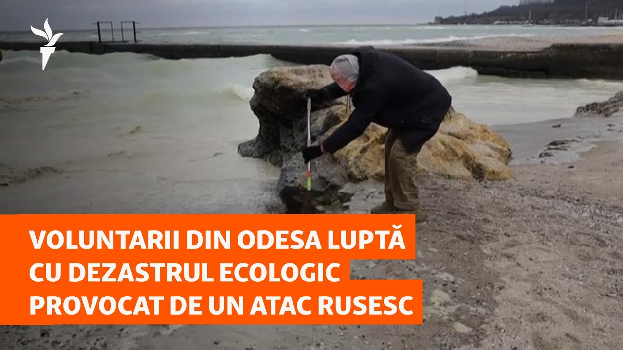 Voluntarii din Odesa se angajează în combaterea dezastrului ecologic cauzat de un atac rus. Voluntarii din Odesa se angajează în combaterea dezastrului ecologic cauzat de un atac rus.